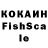 Галлюциногенные грибы Psilocybe Lemminkainen Fisher