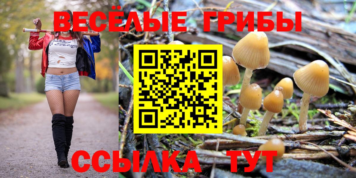 Псилоцибиновые грибы Magic Shrooms Конаково